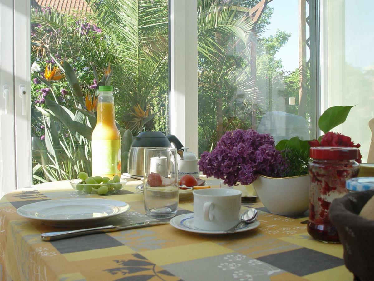 Privatzimmer Mit Aussicht ピルナ エクステリア 写真
